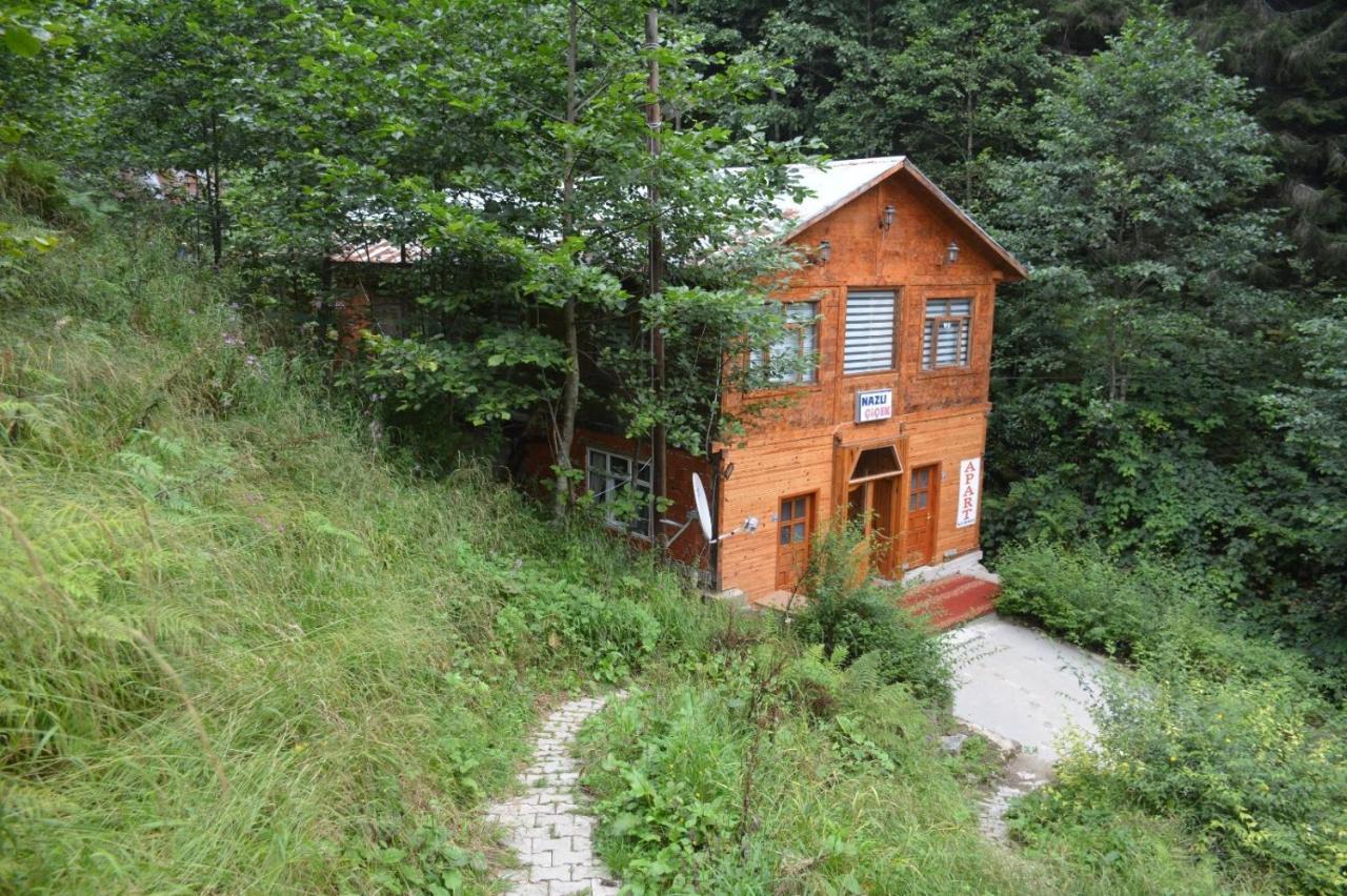 Ayder Nazli Cicek Apart Exteriör bild