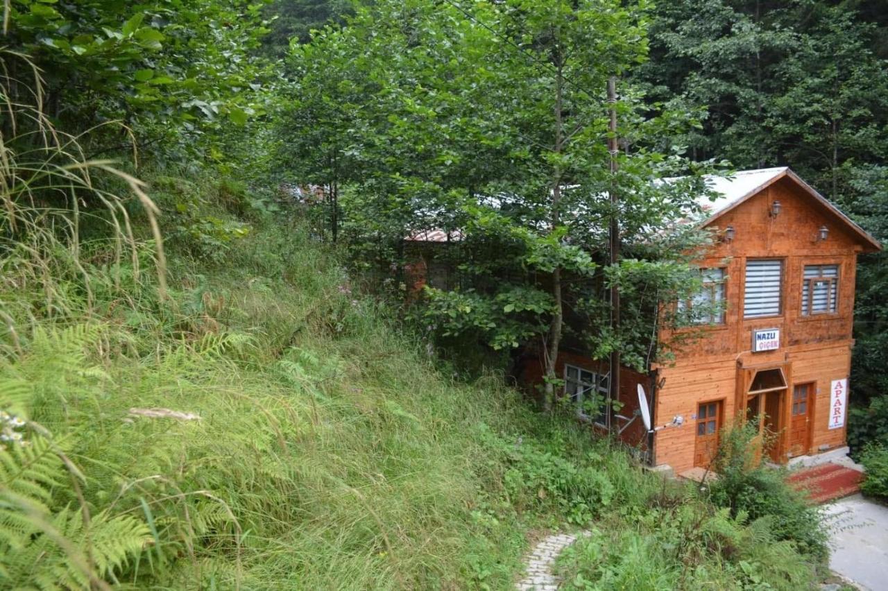 Ayder Nazli Cicek Apart Exteriör bild
